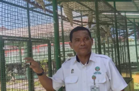 kepala 1